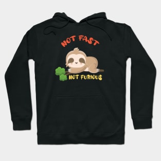 Not fast not furious, sloth, sleep Hoodie